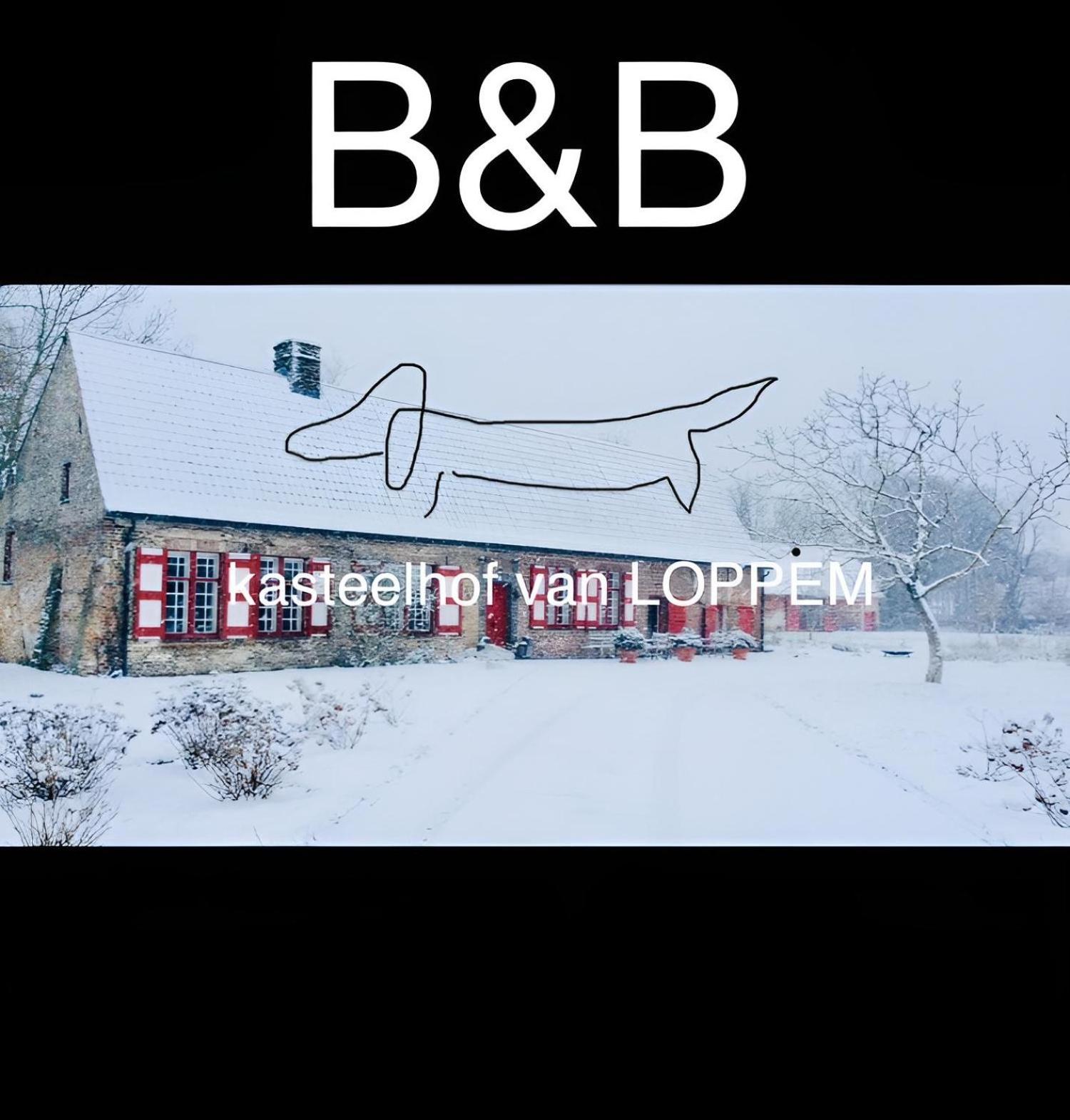 Kasteelhof Van Loppem Luaran gambar